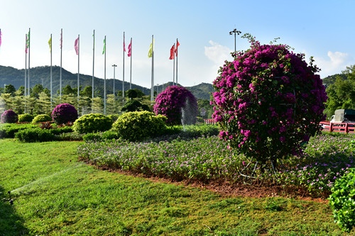 園冶杯專業獎：四橋一隧綠化重建提升工程