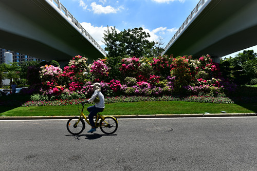 園冶杯專業獎：四橋一隧綠化重建提升工程