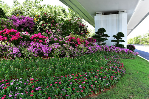 園冶杯專業獎：四橋一隧綠化重建提升工程