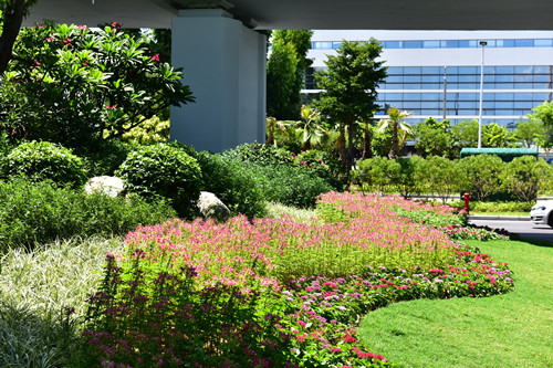 園冶杯專業獎：四橋一隧綠化重建提升工程