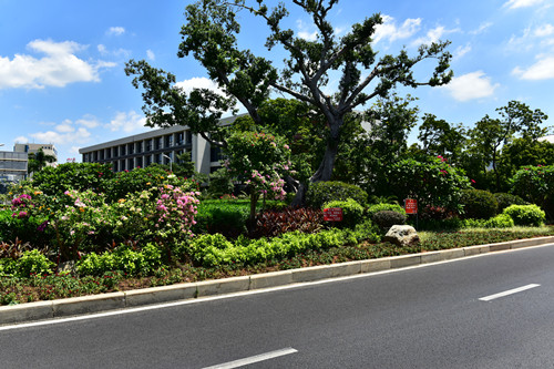 園冶杯專業獎：四橋一隧綠化重建提升工程