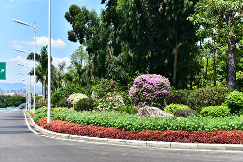 園冶杯專業獎：四橋一隧綠化重建提升工程