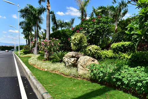 園冶杯專業獎：四橋一隧綠化重建提升工程