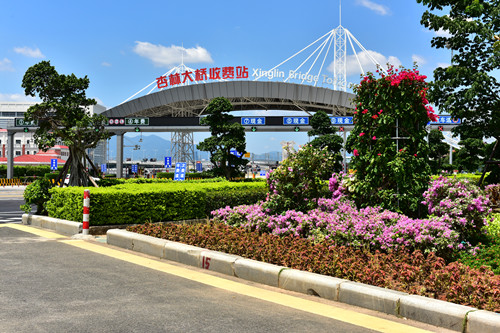 園冶杯專業獎：四橋一隧綠化重建提升工程