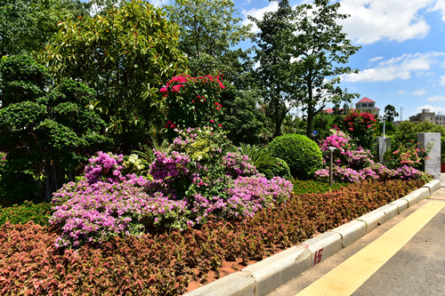 園冶杯專業獎：四橋一隧綠化重建提升工程