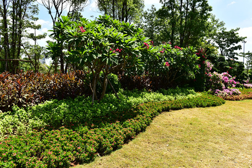 園冶杯專業獎：四橋一隧綠化重建提升工程