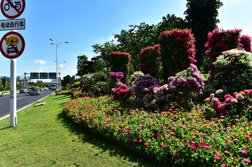 園冶杯專業獎：四橋一隧綠化重建提升工程