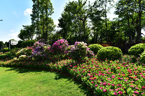 園冶杯專業獎：四橋一隧綠化重建提升工程