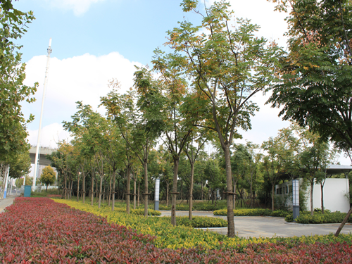 園冶杯專業(yè)獎(jiǎng):2015年小游園建設(shè)工程A標(biāo)段