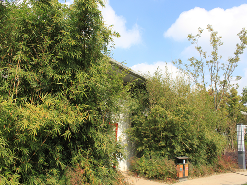 園冶杯專業(yè)獎(jiǎng):2015年小游園建設(shè)工程A標(biāo)段