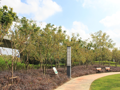 園冶杯專業(yè)獎(jiǎng):2015年小游園建設(shè)工程A標(biāo)段