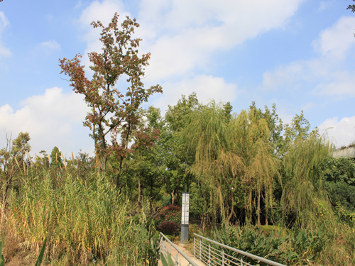 園冶杯專業(yè)獎(jiǎng):2015年小游園建設(shè)工程A標(biāo)段