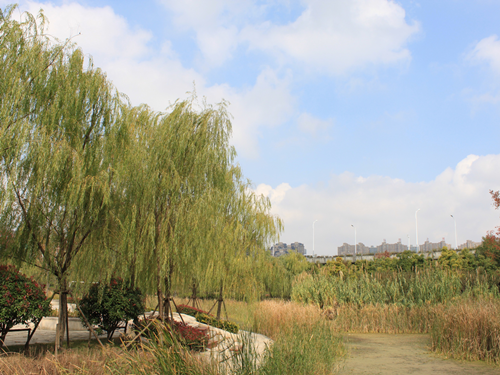 園冶杯專業(yè)獎(jiǎng):2015年小游園建設(shè)工程A標(biāo)段