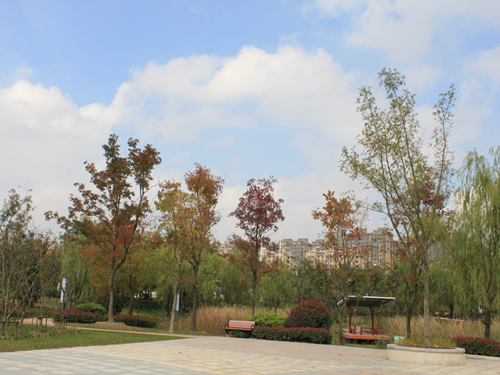 園冶杯專業(yè)獎(jiǎng):2015年小游園建設(shè)工程A標(biāo)段