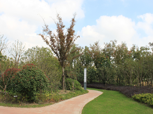 園冶杯專業(yè)獎(jiǎng):2015年小游園建設(shè)工程A標(biāo)段