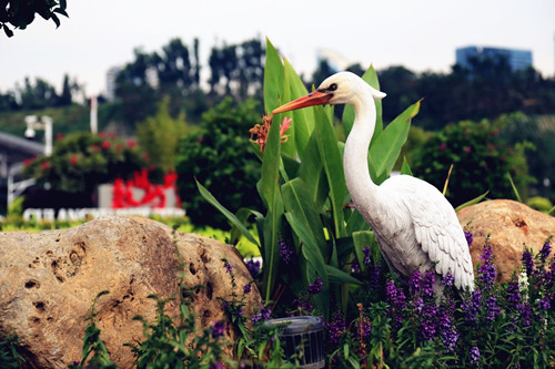 園冶杯專業獎:廈門郵輪母港城景觀提升設計