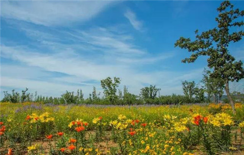 昆明隔壁的這個森林公園