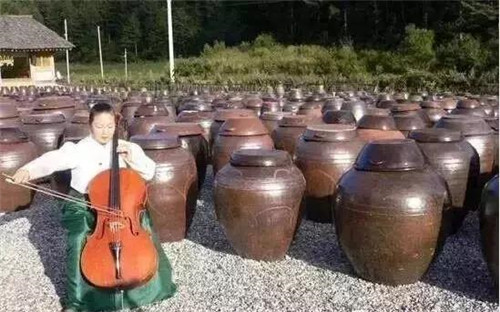 國外休閑農(nóng)業(yè)原來這么玩