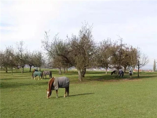 國外休閑農(nóng)業(yè)原來這么玩