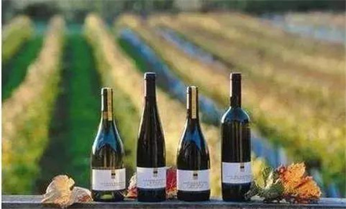 國外休閑農(nóng)業(yè)原來這么玩