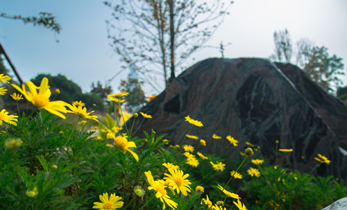 園冶杯專業(yè)獎(jiǎng):漢口江灘長(zhǎng)江二橋至武漢關(guān)景觀提升工程