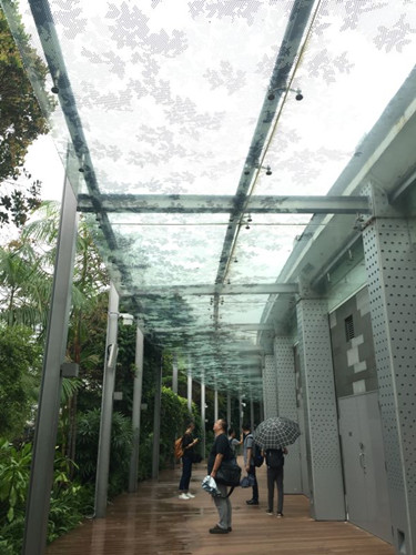 2017新加坡景觀專業考察——領略獅城綠色景觀