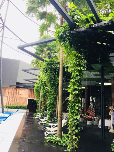 2017新加坡景觀專業考察——領略獅城綠色景觀