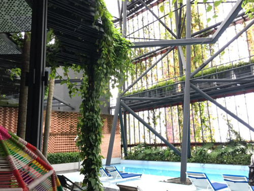 2017新加坡景觀專業考察——領略獅城綠色景觀