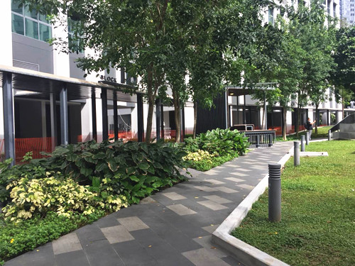 2017新加坡景觀專業(yè)考察——領(lǐng)略獅城綠色景觀