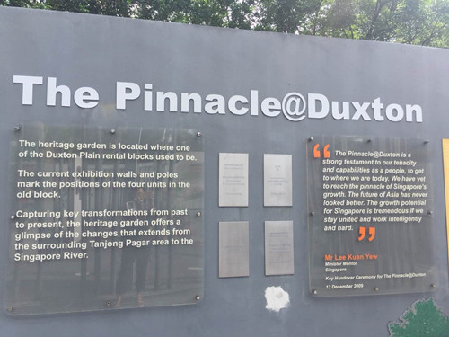 2017新加坡景觀專業(yè)考察——領(lǐng)略獅城綠色景觀