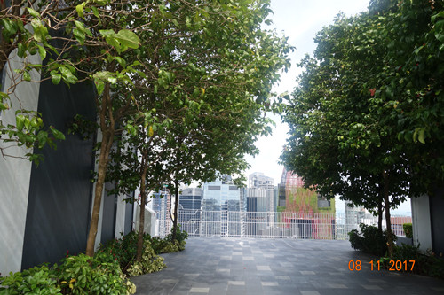 2017新加坡景觀專業(yè)考察——領(lǐng)略獅城綠色景觀