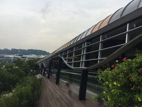 2017新加坡景觀專業(yè)考察——領(lǐng)略獅城綠色景觀