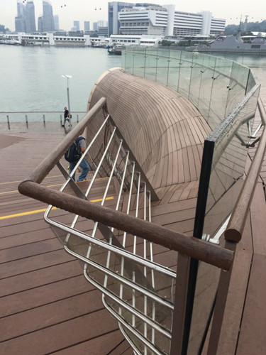 2017新加坡景觀專業(yè)考察——領(lǐng)略獅城綠色景觀