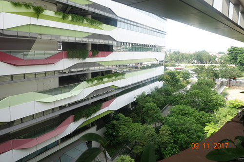 2017新加坡景觀專業考察——領略獅城綠色景觀