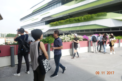 2017新加坡景觀專業考察——領略獅城綠色景觀