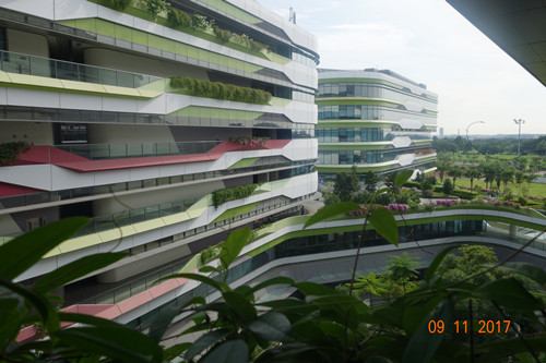 2017新加坡景觀專業考察——領略獅城綠色景觀