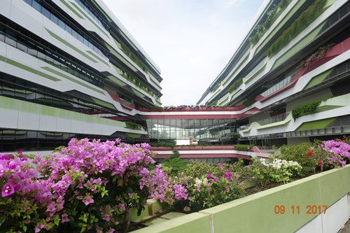 2017新加坡景觀專業考察——領略獅城綠色景觀