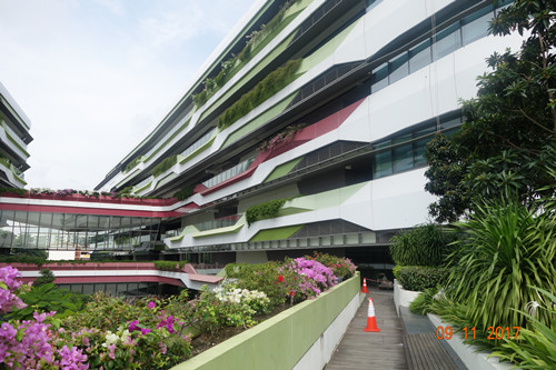 2017新加坡景觀專業考察——領略獅城綠色景觀