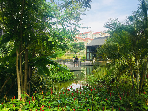 2017新加坡景觀專業考察——領略獅城綠色景觀