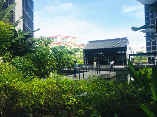 2017新加坡景觀專業考察——領略獅城綠色景觀