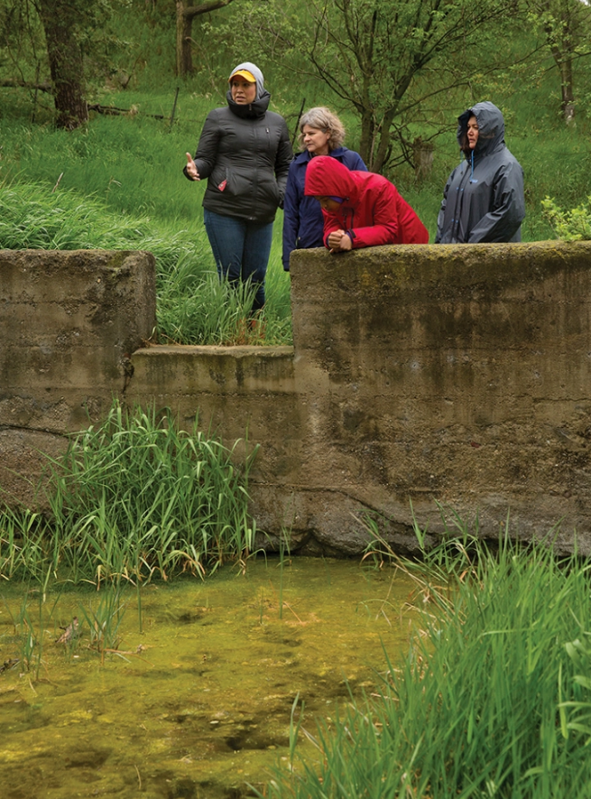 布拉德古道的文化保護和景觀恢復(fù)