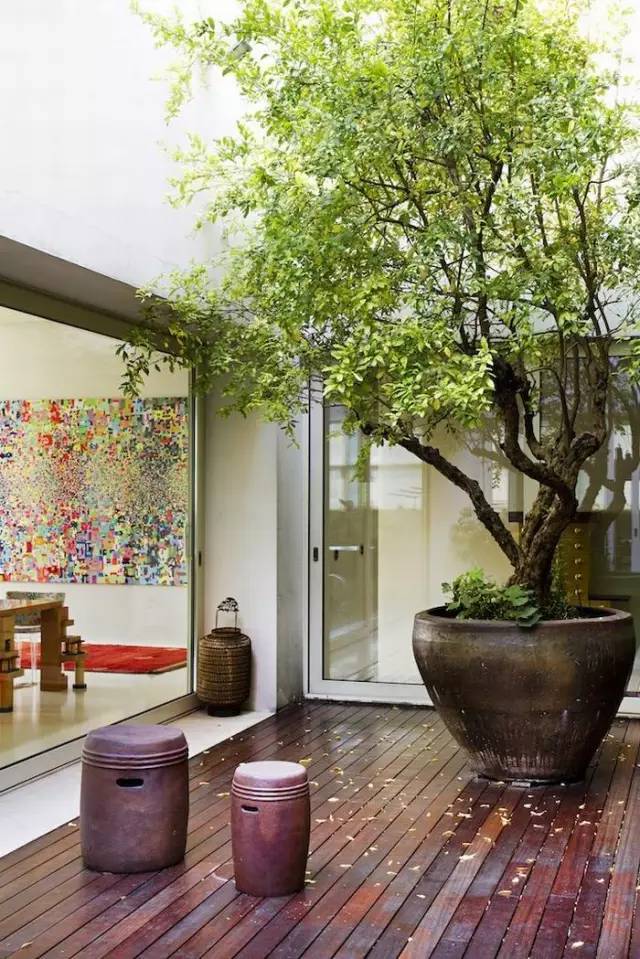 超美的庭院設計(多圖)