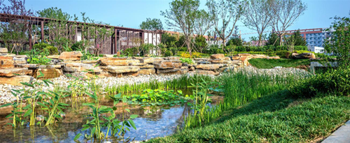 園冶杯專業獎:濟南章丘魯能公館景觀方案設計