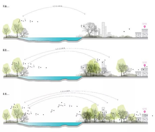 棕櫚股份:貝爾高林——融創(chuàng)?北京壹號(hào)院