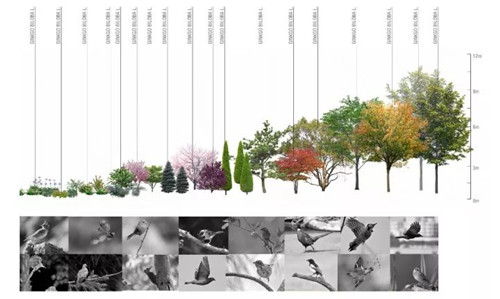 棕櫚股份:貝爾高林——融創(chuàng)?北京壹號(hào)院
