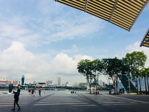 2017新加坡景觀考察——感受花園中的城市
