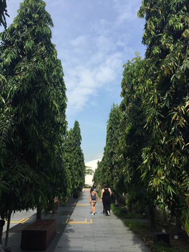 2017新加坡景觀考察——感受花園中的城市