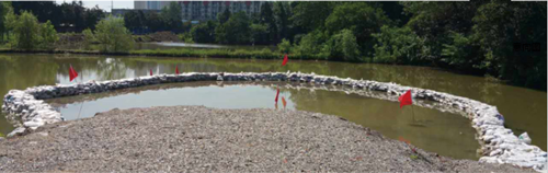 園冶杯專業獎:青山區倒口湖公園景觀設計