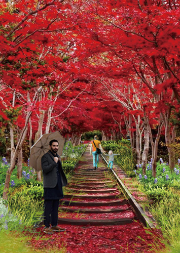 園冶杯專業獎:青山區倒口湖公園景觀設計