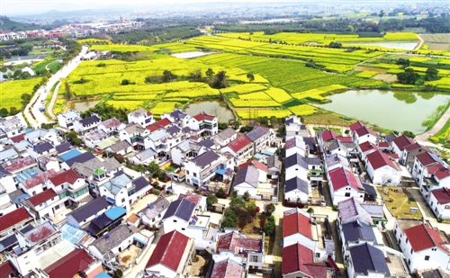 城市群該如何規劃建設 突出城市群主體地位